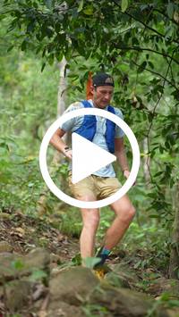 BIB:  <button type="button" onclick="openModal(27630958)" class="btn btn-primary btn-sm float-right" data-toggle="modal" data-target=".modal-high-quality">
                <i class="fa fa-download"></i> Download
                </button>